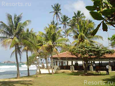 Amaya Reef 5